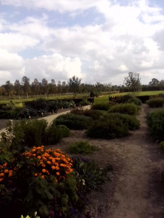 Er werden ook bloemen en kruiden verbouwd